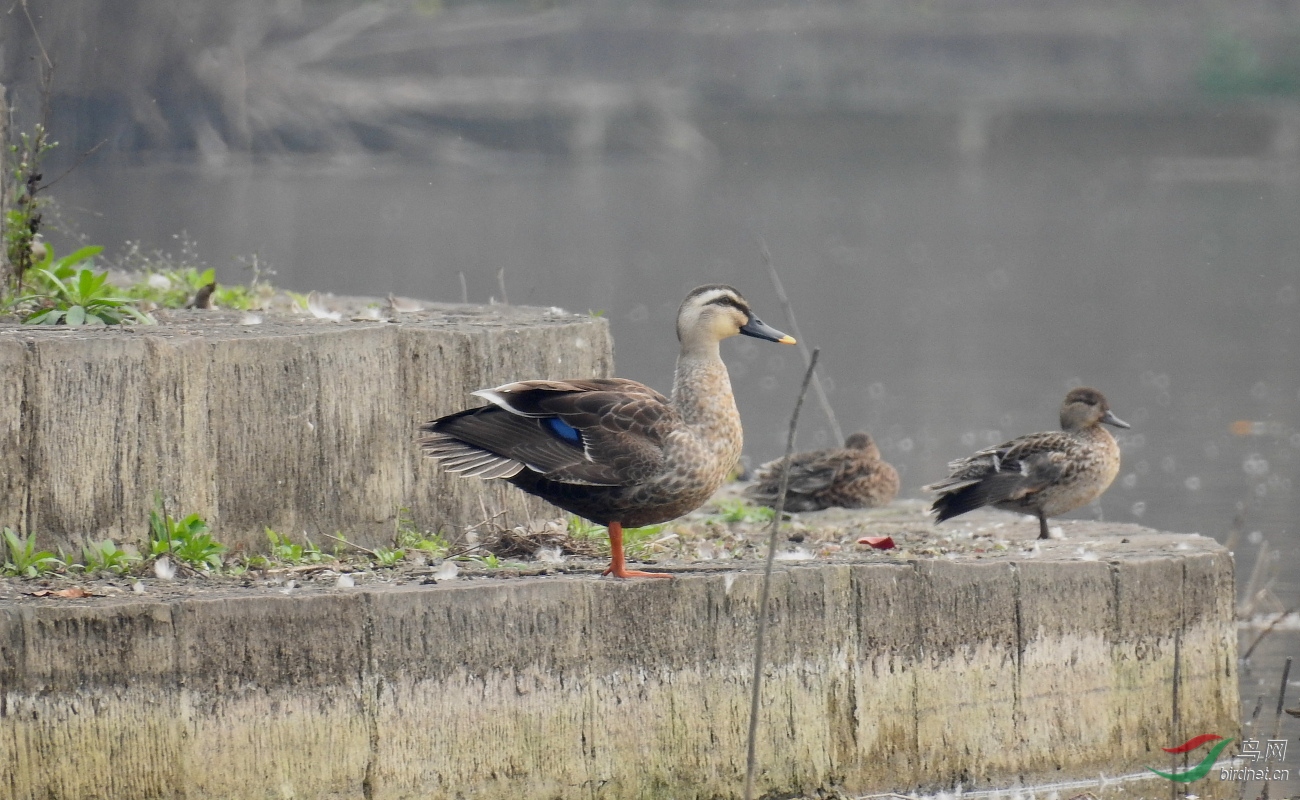 DSCN7651.JPG