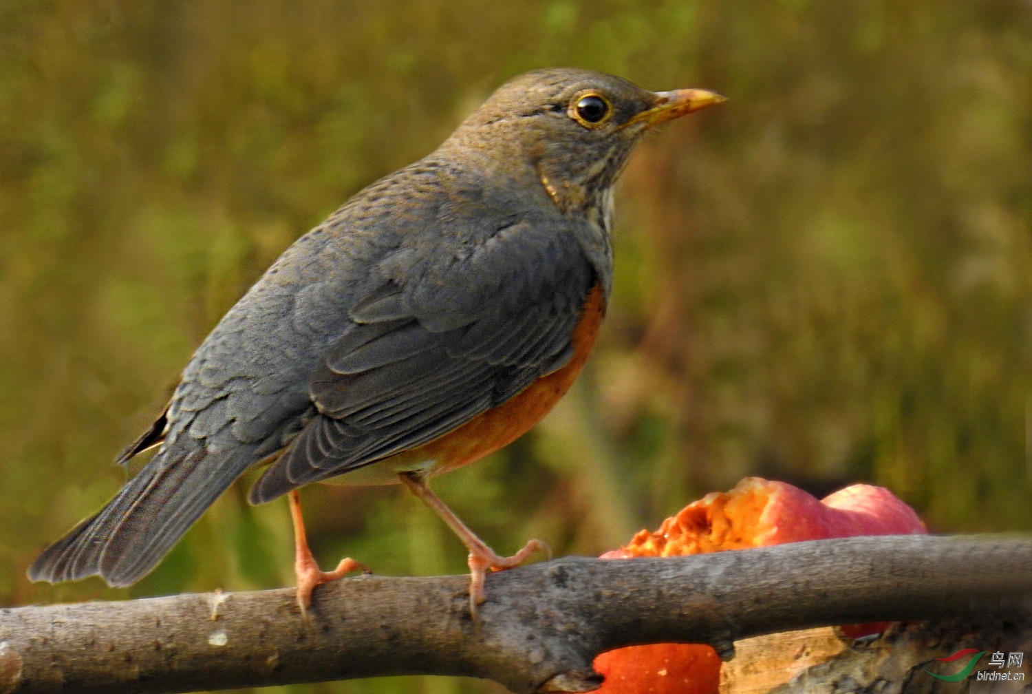 DSCN4838 ����.jpg