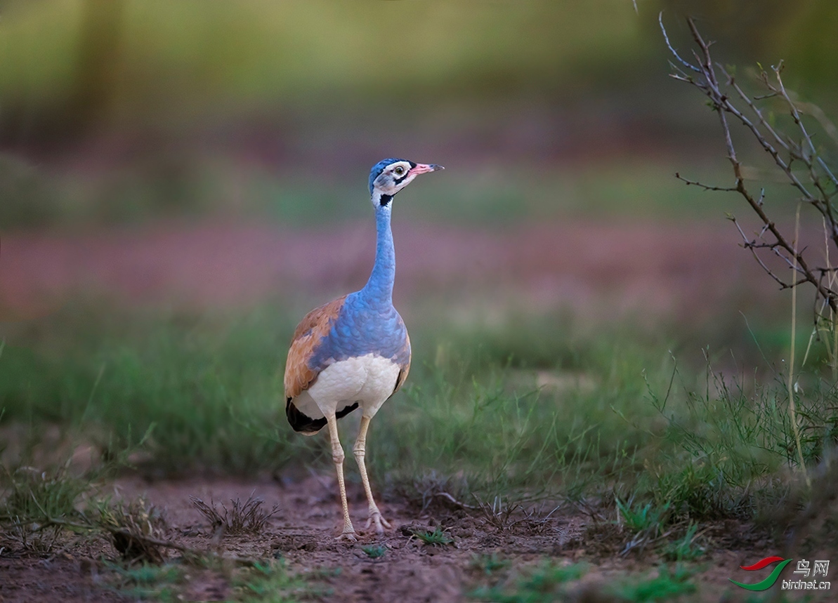 ����ʲ���ҹ�԰ �� �׸��.jpg