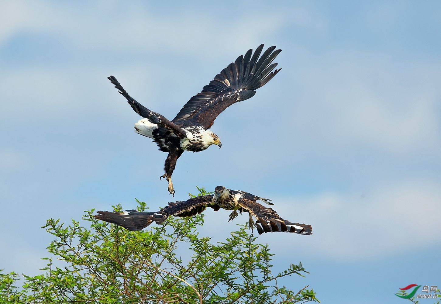 �ػ����� �� ���޺�����.jpg