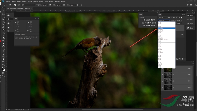 01 ��һ�� ��CR�ж���Ƭ���л��������󣬽���Ƭ����PS������Ctrl J������һ�㣬��ͼ��.jpg