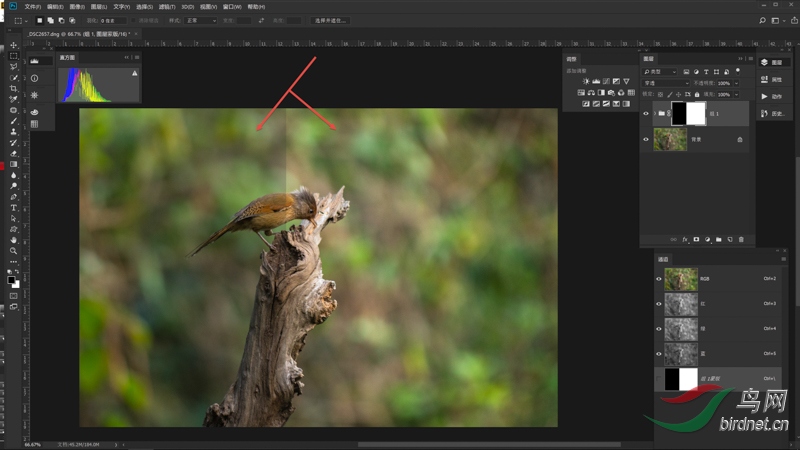 04 ���տ�һ�������Ϊԭͼ���Ҳ�ΪЧ��ͼ.jpg