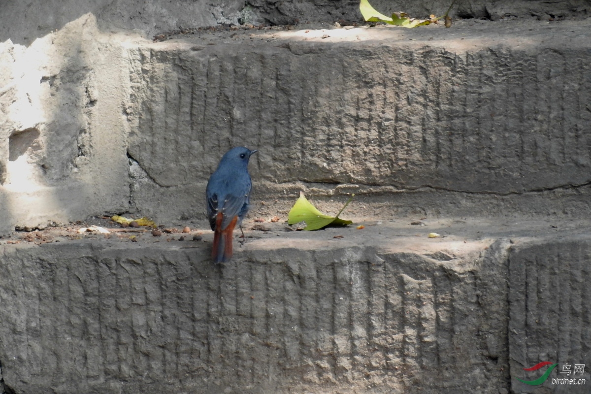 DSCN7904.JPG
