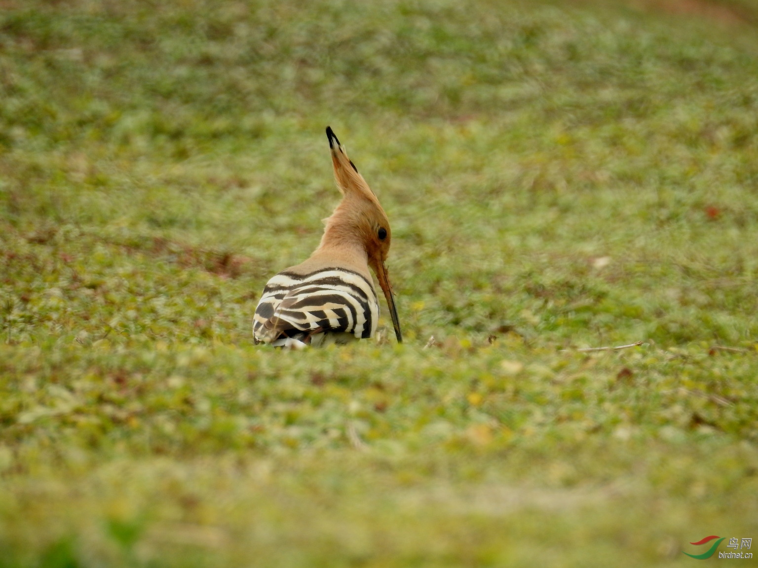 DSCN7607.JPG