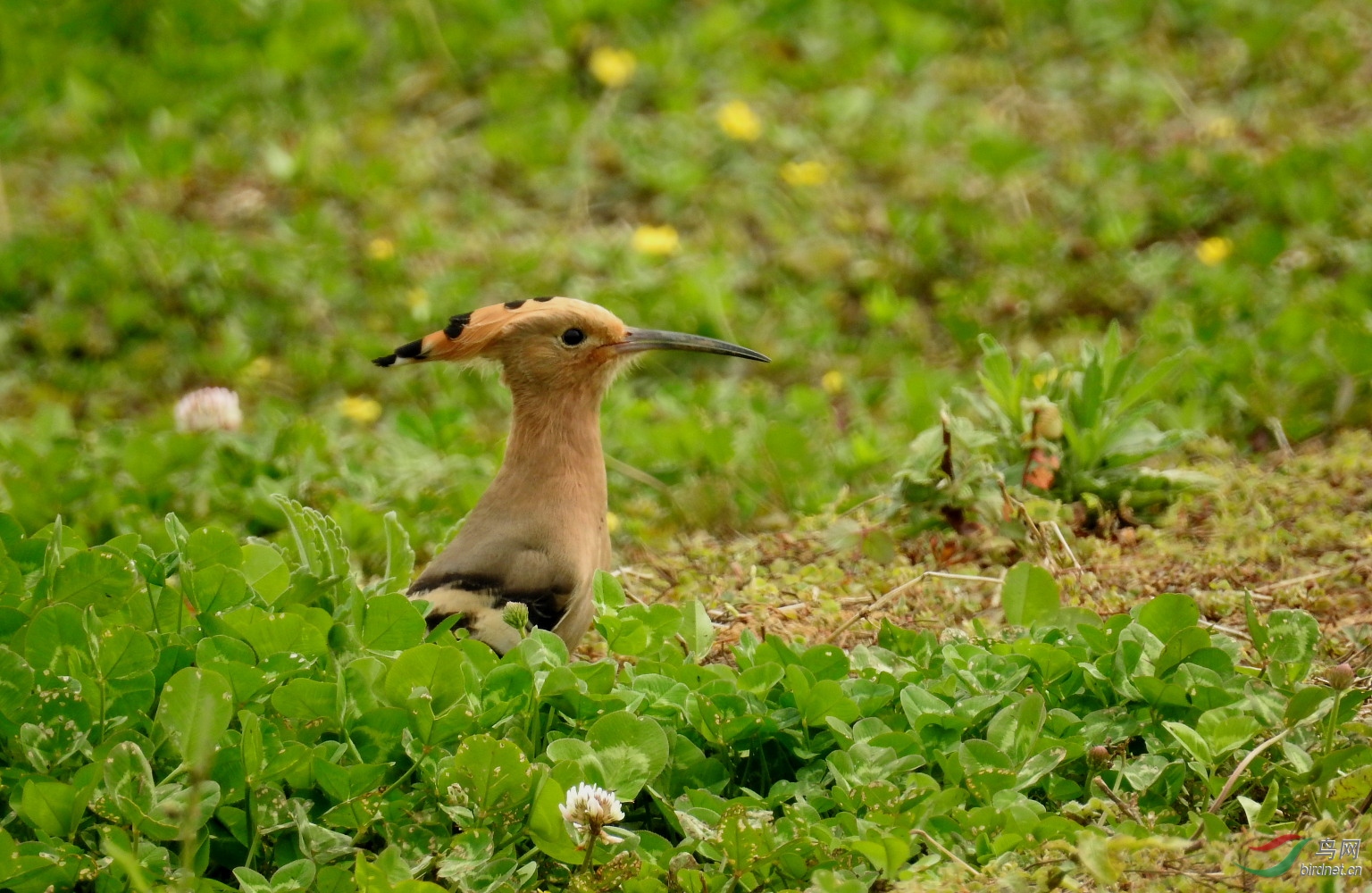 DSCN7616.JPG