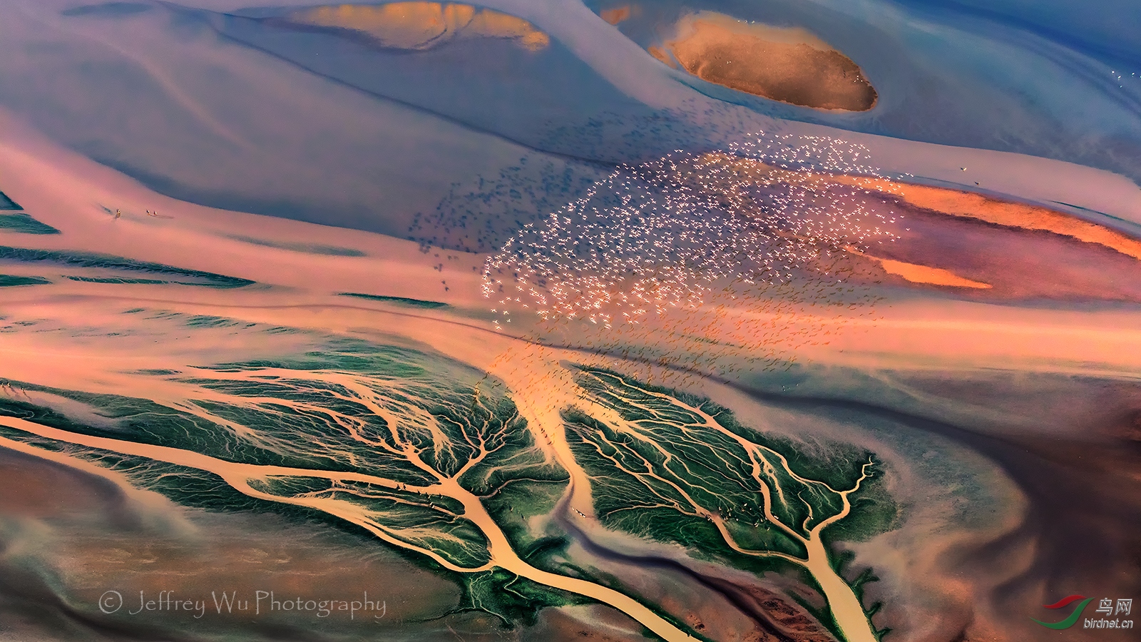 CF000794a.jpg