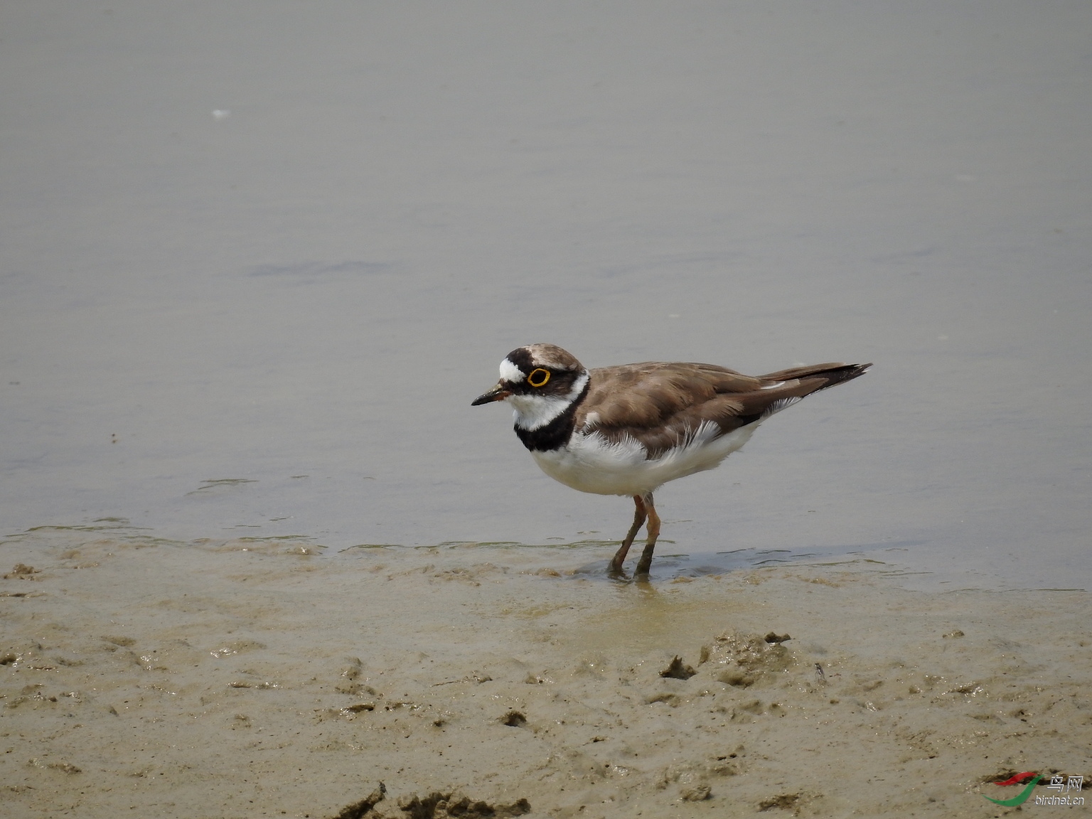 DSCN6854.JPG