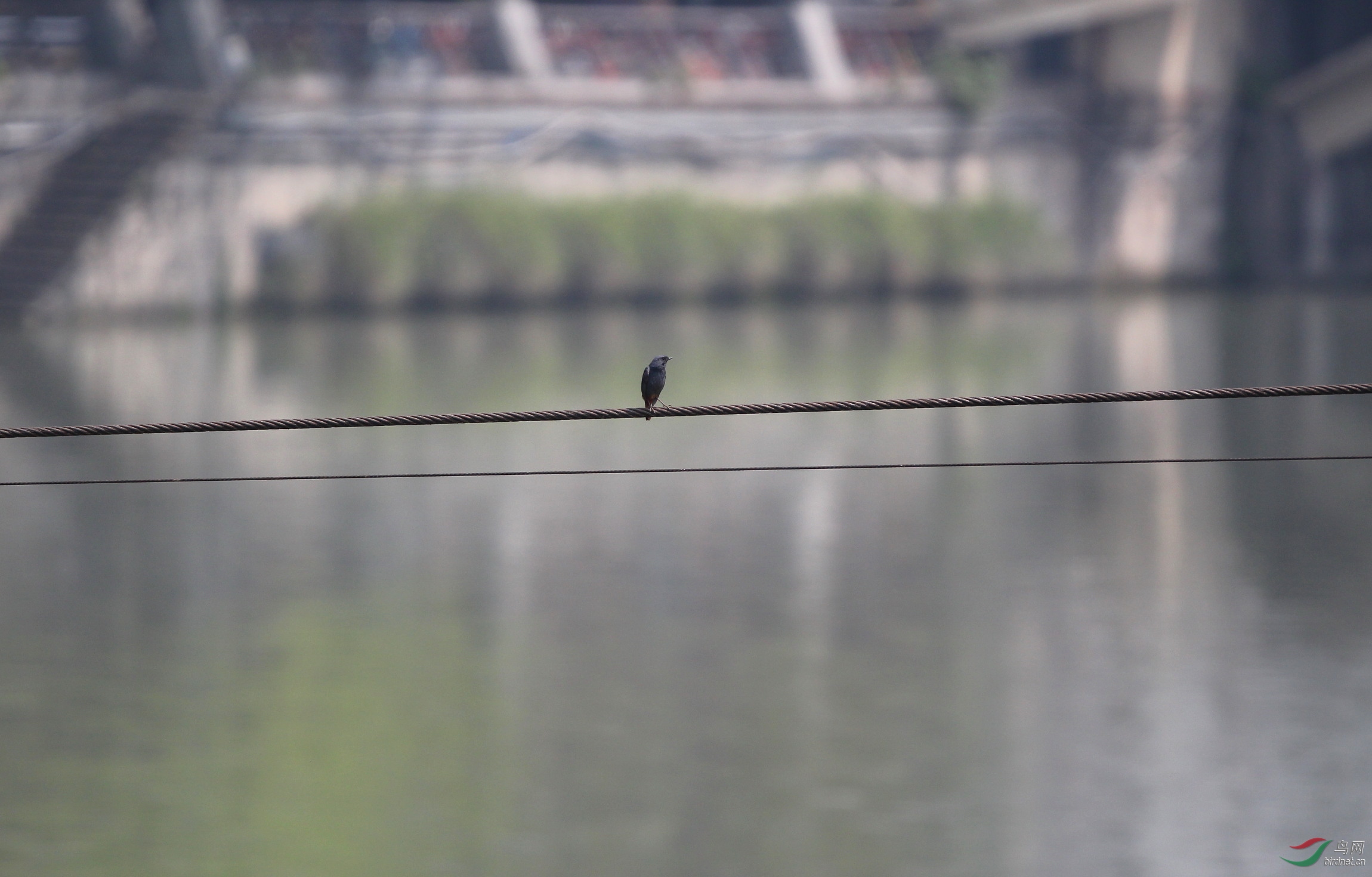 ����50��