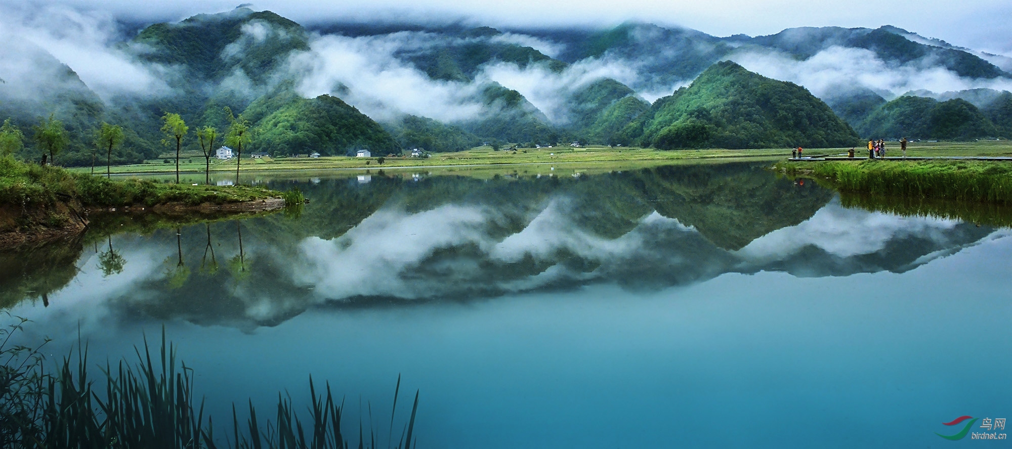 [动物] 人间仙境---神农架大九湖风光