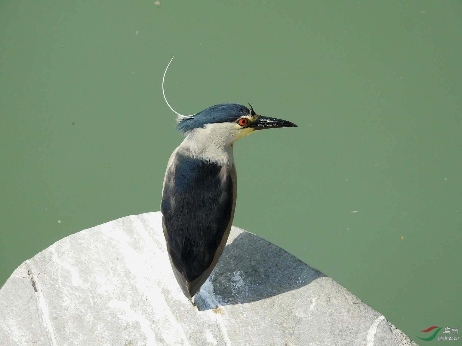 DSCN8061.JPG