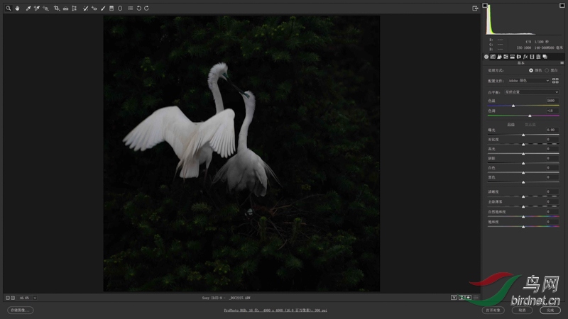 00 ǰ��Ƿ�ص�����������ǲ�Ըʹ�ù��߸й�ȣ�ISO��������RAW���ݶȺ������ص����� s.jpg