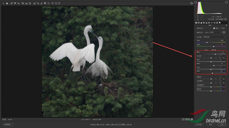 02 �����ع� ���Ĳ� �ڡ�������������壬�ع� 1.5����Ӱ 20����ɫ 10�������ع�״����.jpg