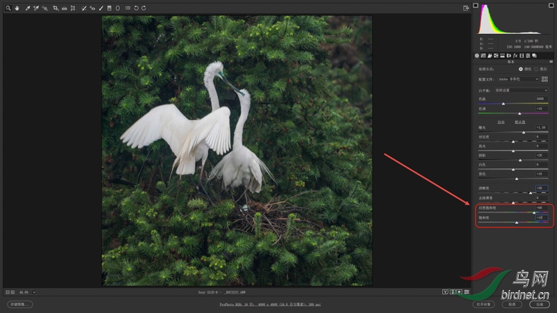 04 ������ɫ���Ͷ� ������ ͬ������Ƿ�������ɫ���ͶȲ��㣬���ԣ���Ȼ���Ͷ� 60����.jpg