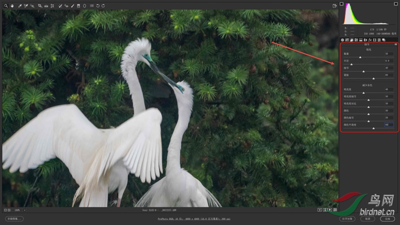 05 ȥ���� ���߲� Ƿ�ػ�����ڰ���㲢Ӱ�������ȣ��Ŵ�ͼ����100%���۲����������.jpg