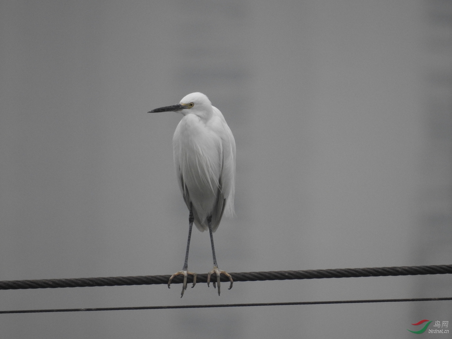 DSCN4970.JPG