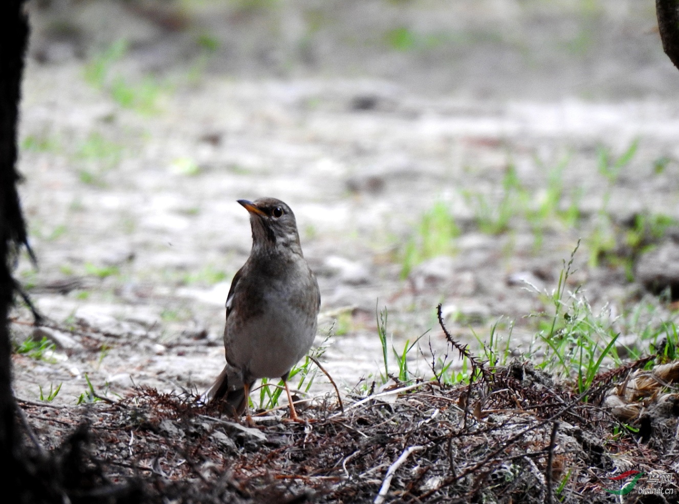 ��֪ʲô�20��