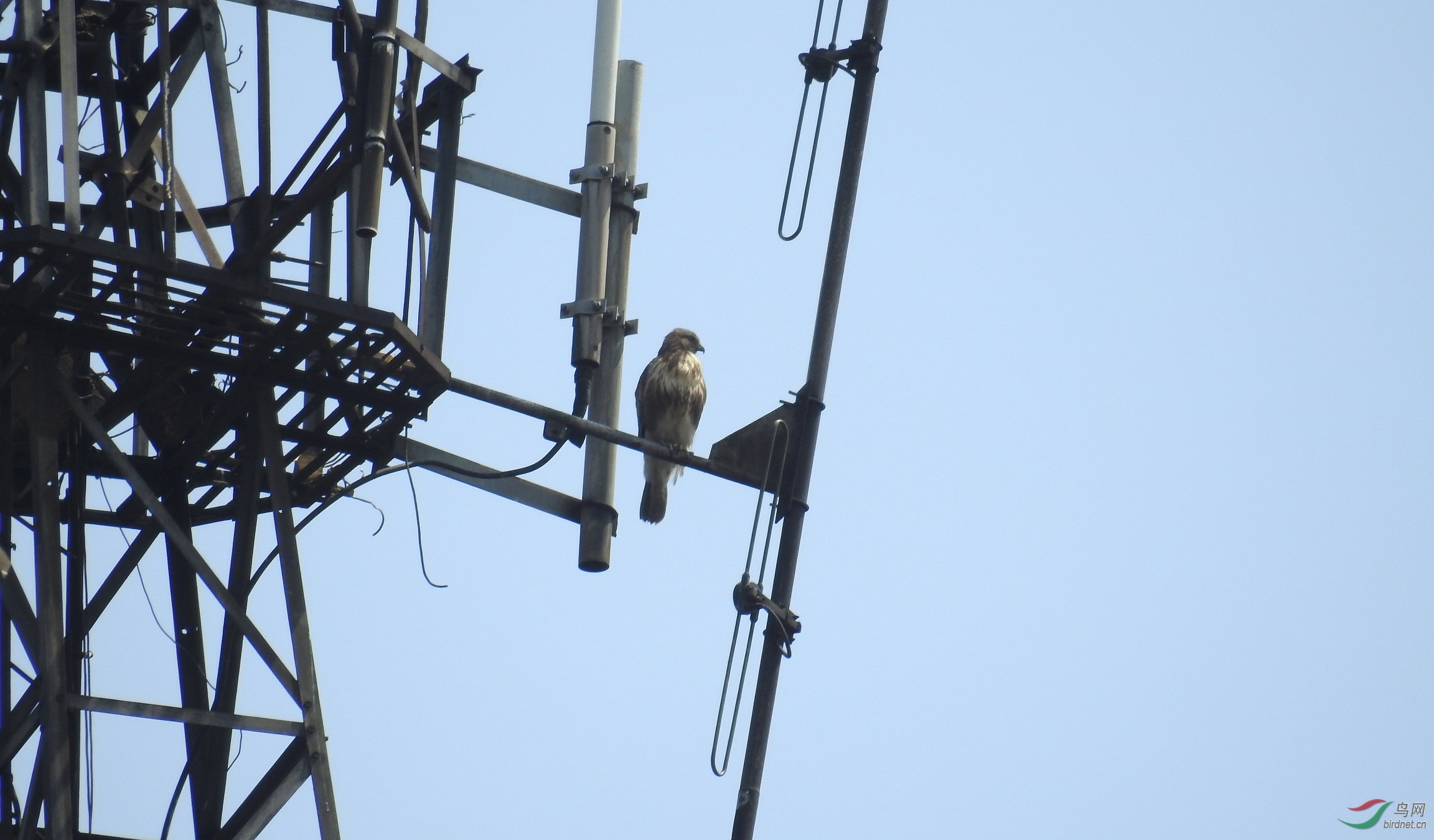 DSCN8109.JPG