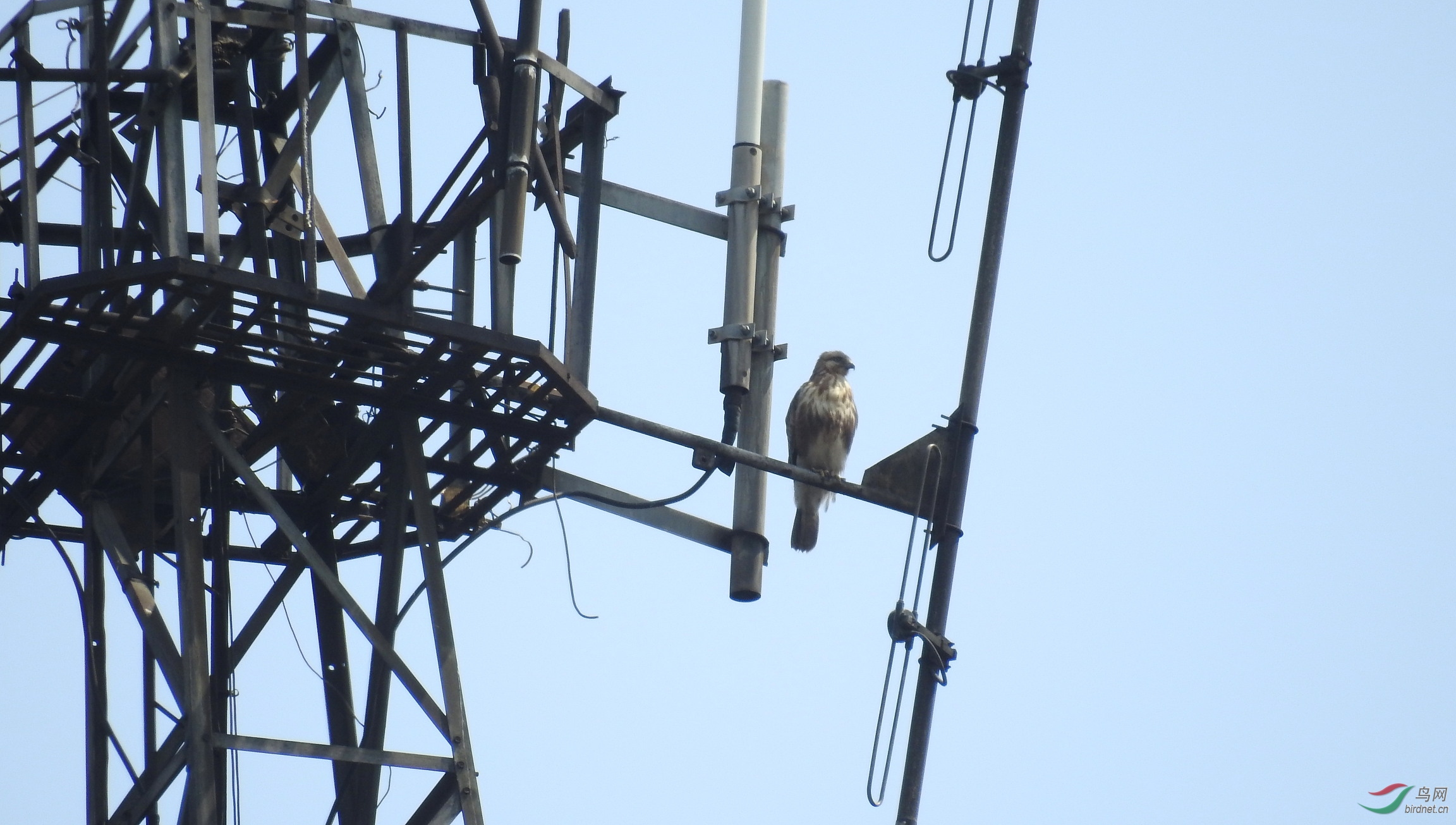 DSCN8119.JPG