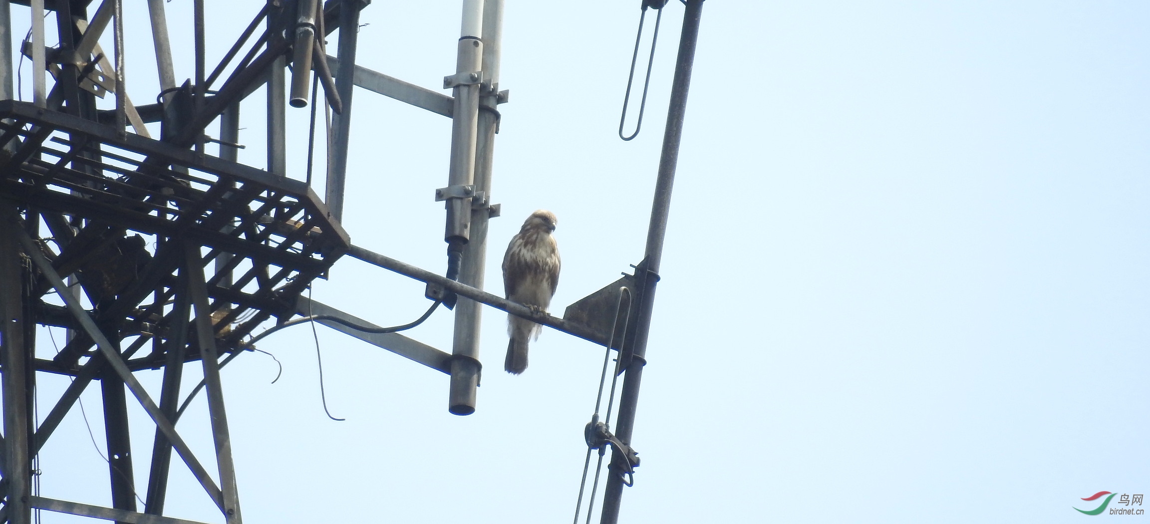 DSCN8124.JPG