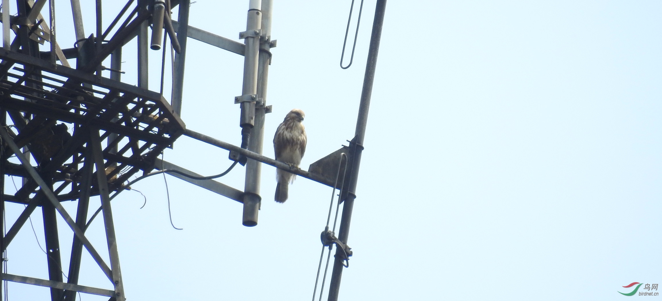 DSCN8125.JPG