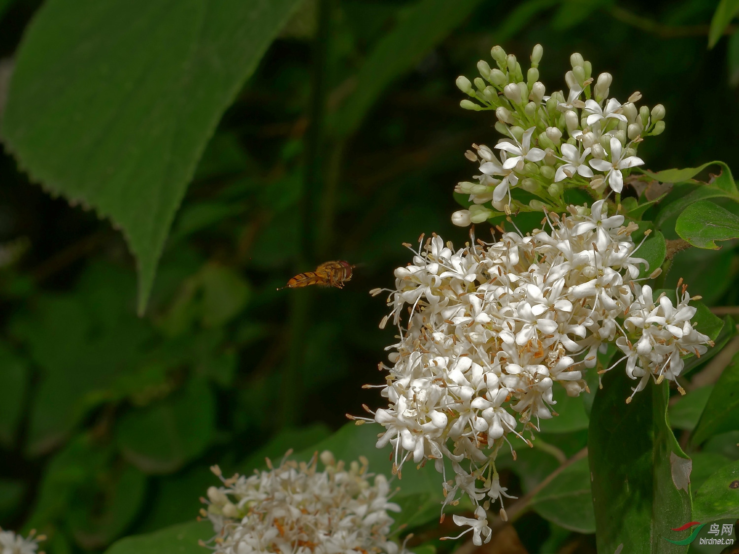 P1133179_DxO.jpg