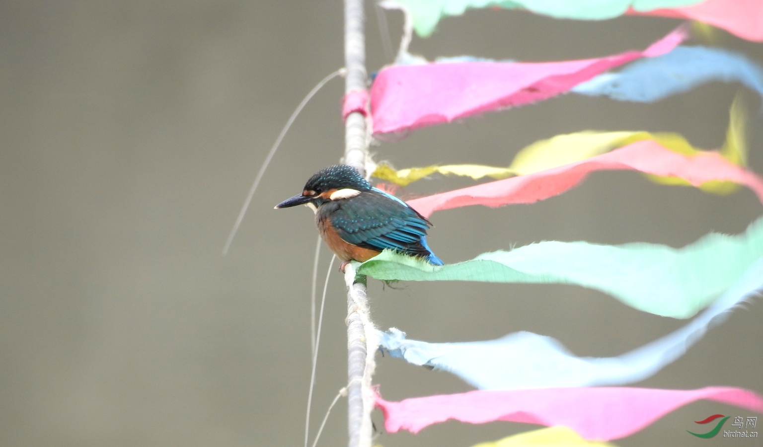 DSCN8295.JPG