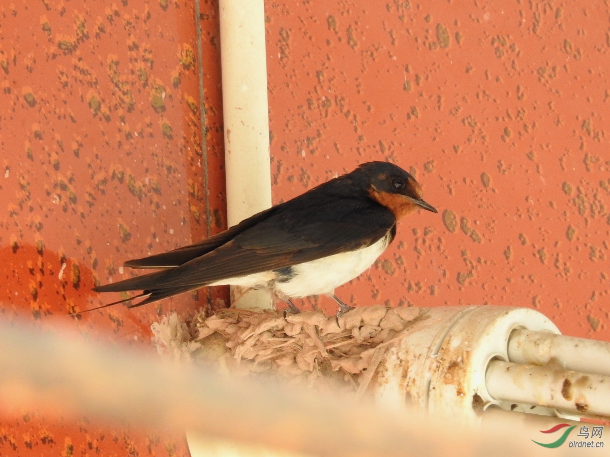 DSCN8435.JPG