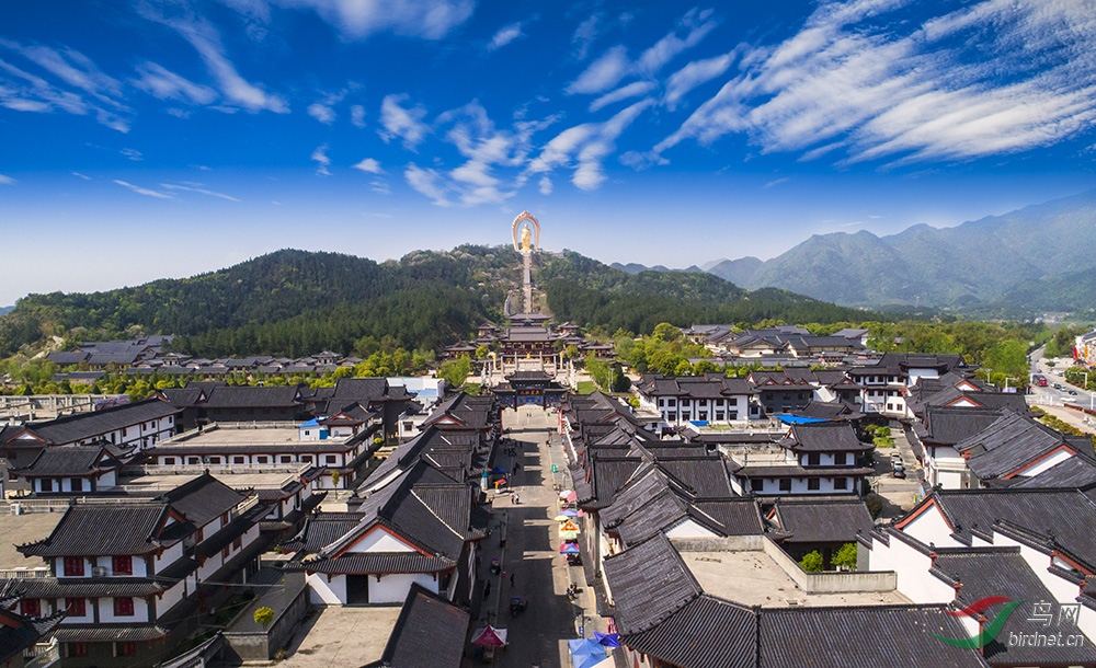 乡村福址——庐山东林大佛(原星子县隘口乡)