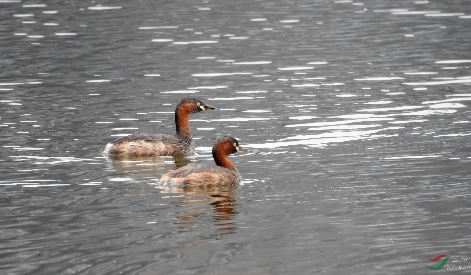 DSCN8157.JPG