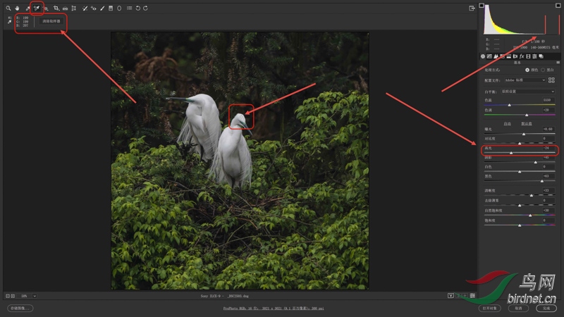 01 ѹ�͸߹⣬ʹ��ɫ��ë������RGBƽ��ֵԼ����200 s.jpg