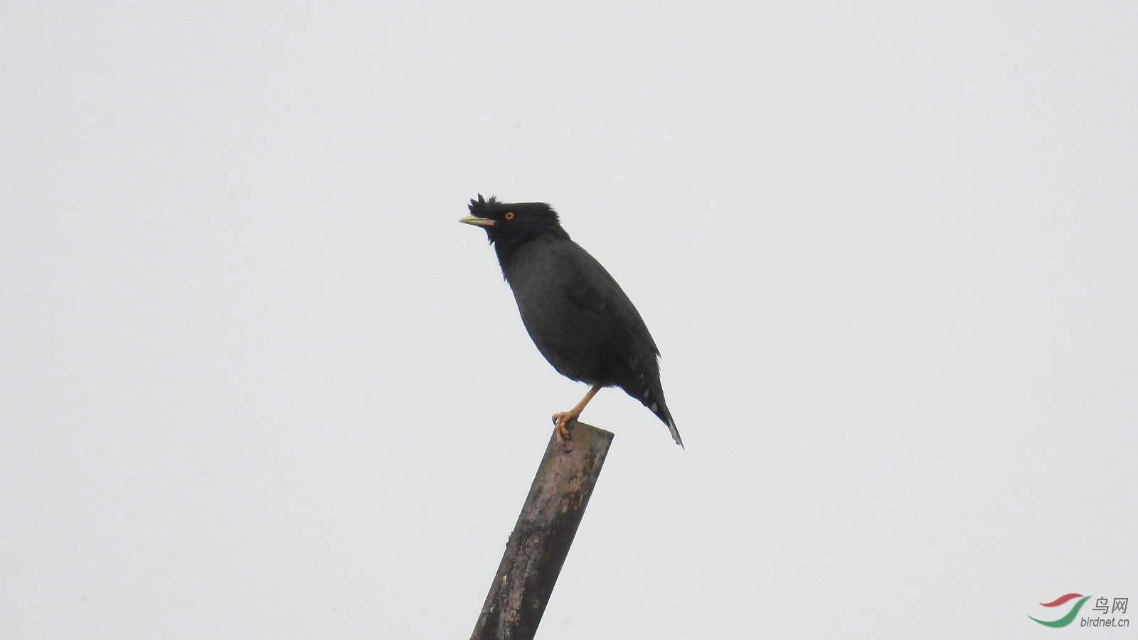 DSCN7985.JPG