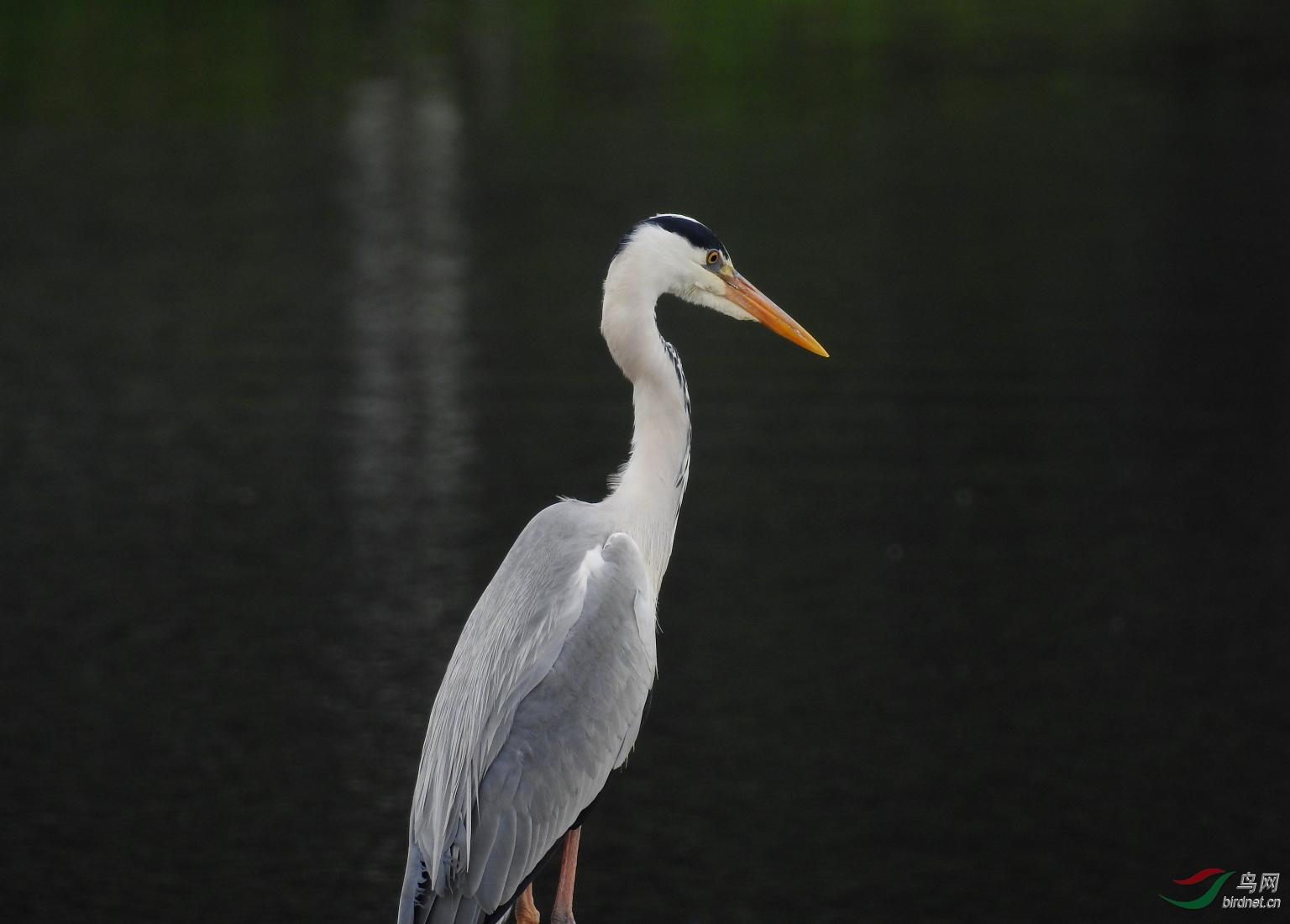 DSCN8214.JPG