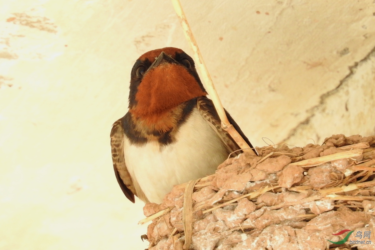 DSCN8473.JPG