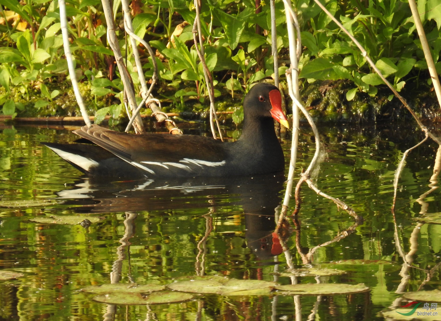 DSCN6326 ����.jpg