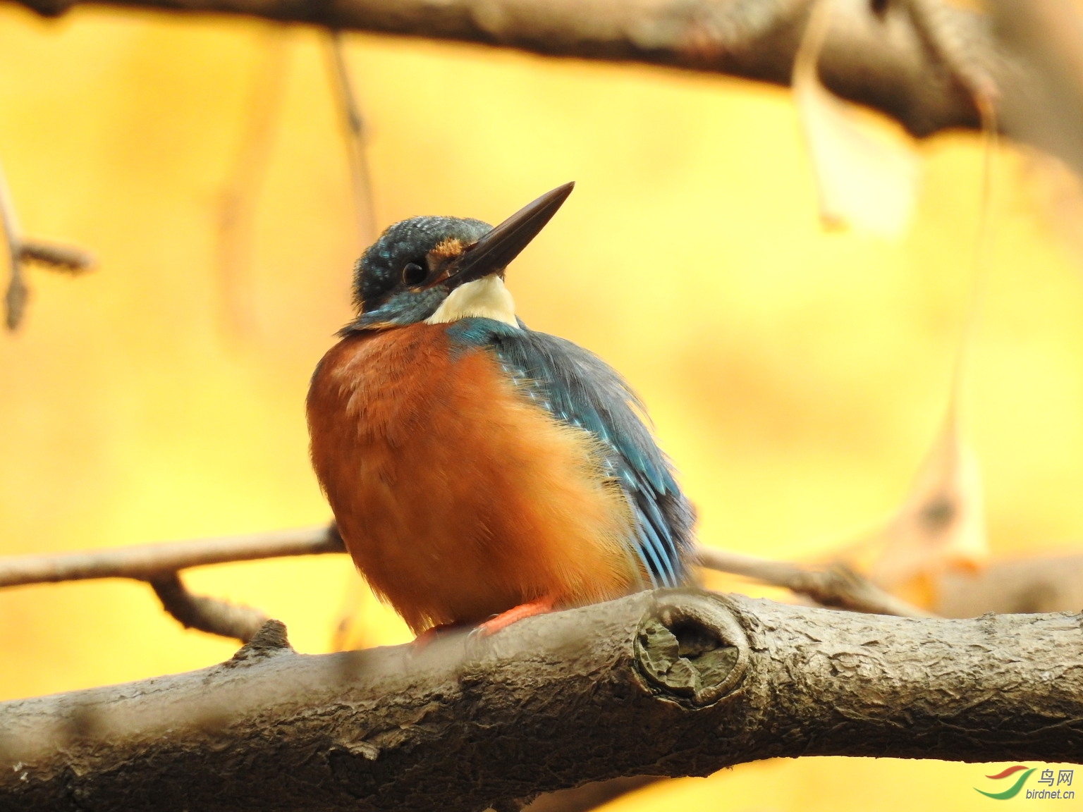 DSCN4519.JPG