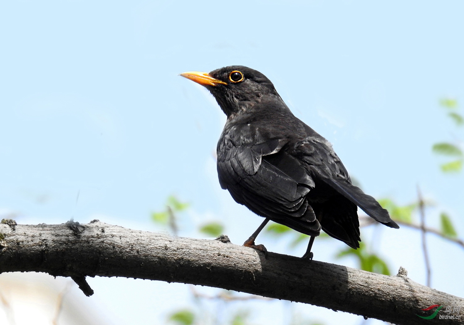 DSCN6111 ����.jpg