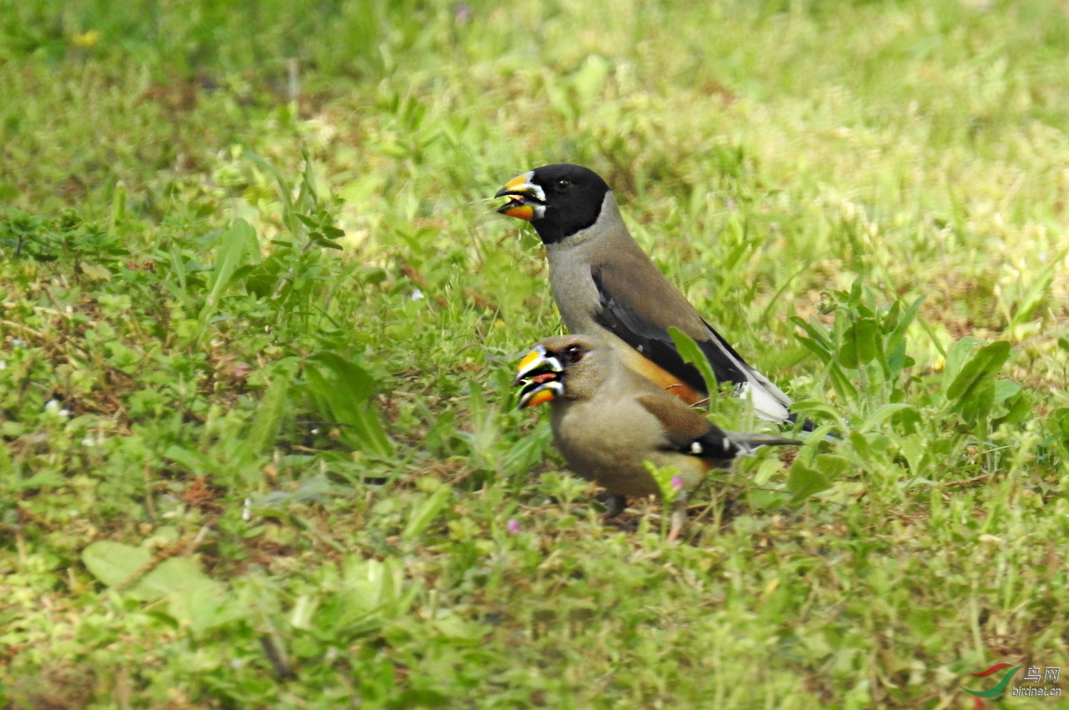 DSCN6169 ����.jpg