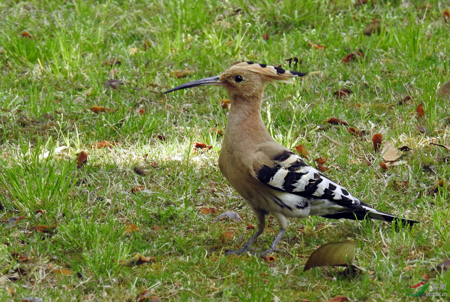 DSCN6129 ����.jpg