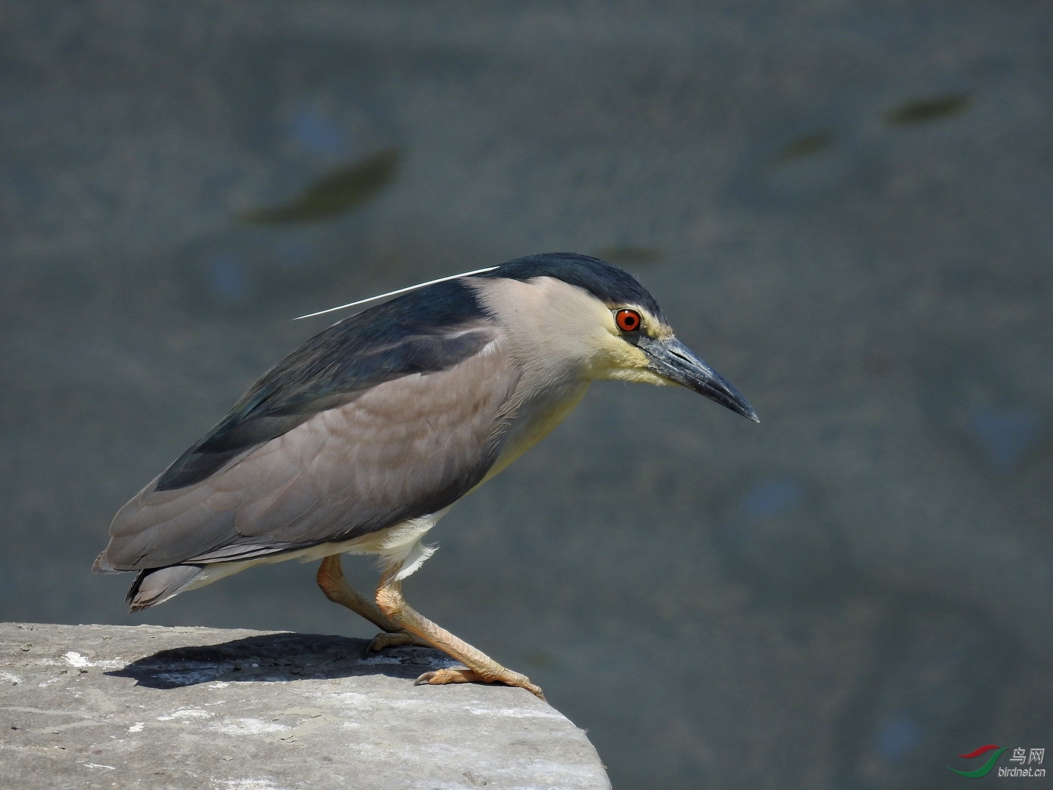 DSCN8320.JPG
