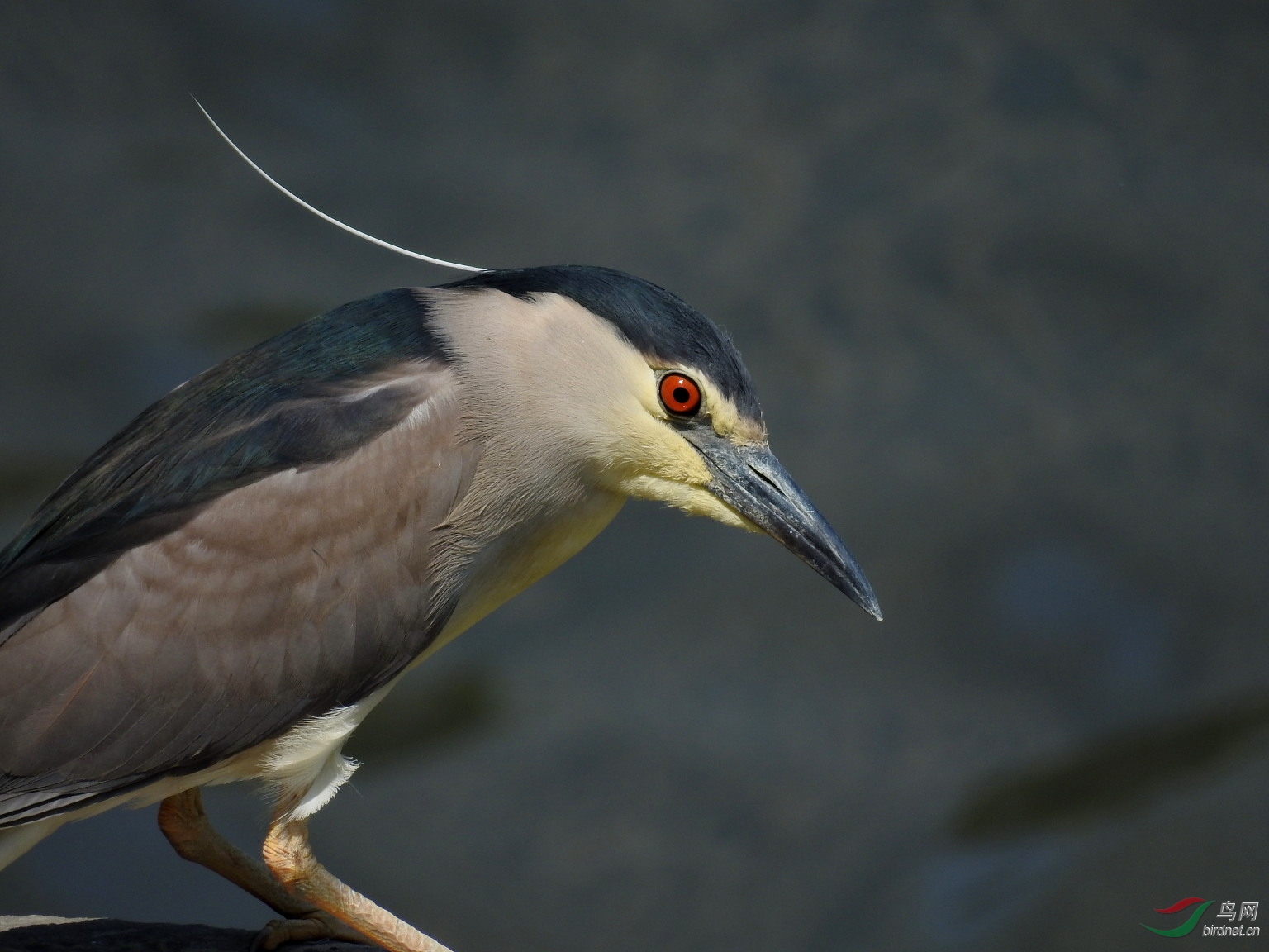 DSCN8323.JPG