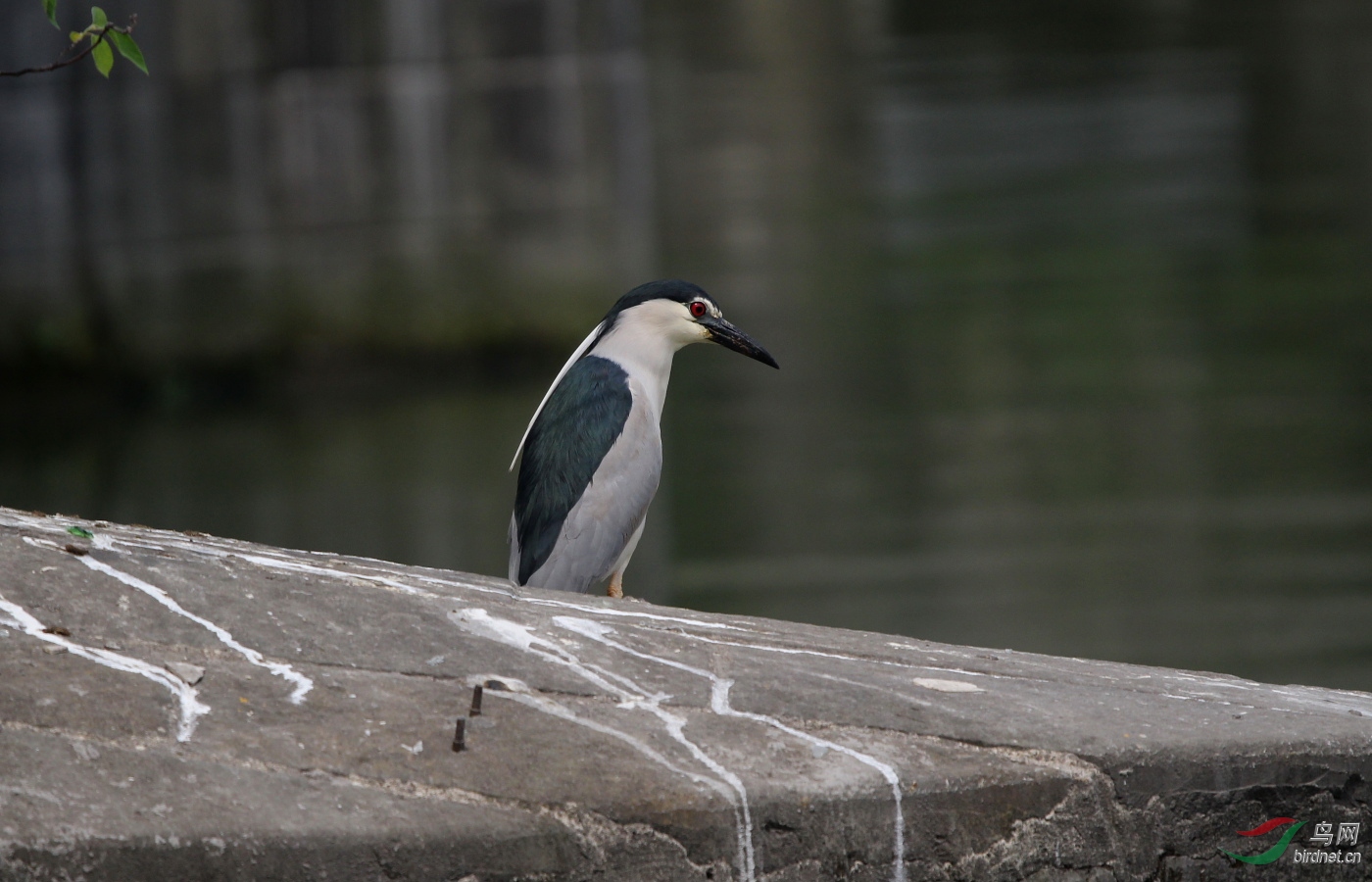 IMG_7685.JPG