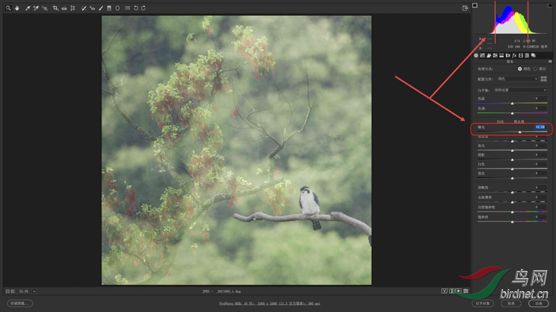 01 ��һ�� ���ƻ�����������еġ��ع⡿������ 1.10��ʹֱ��ͼ��Ϣ�������м������.jpg