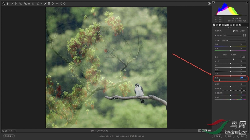 02 �ڶ��� ���ơ���ɫ��������-70��ʹֱ��ͼ��Ϣ������䰵������.jpg