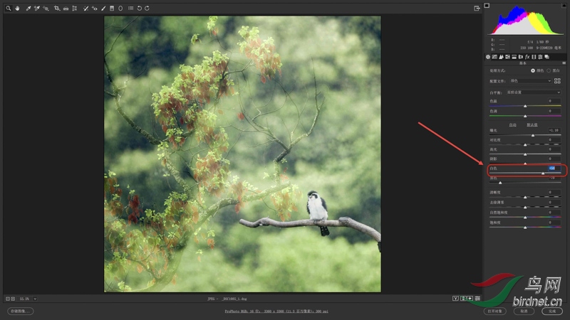 03 ������ ���ơ���ɫ�������� 50��ʹֱ��ͼ��Ϣ���������������.jpg