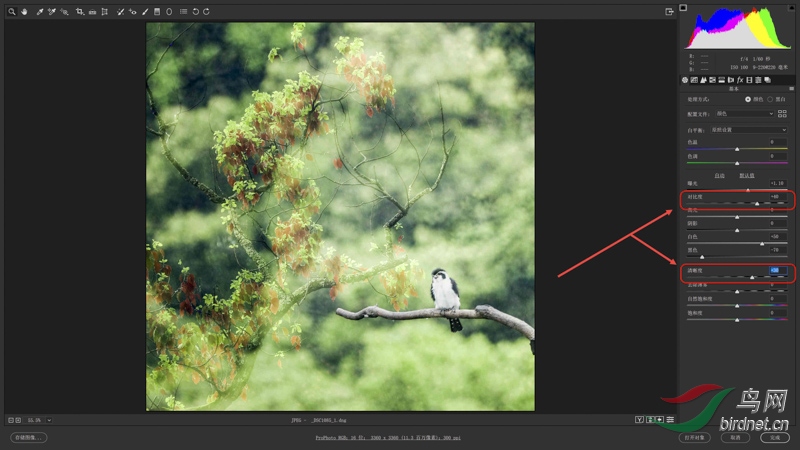 04 ���Ĳ� ���ơ��Աȶȡ��͡������ȡ�����ֱ��� 40�� 30.jpg