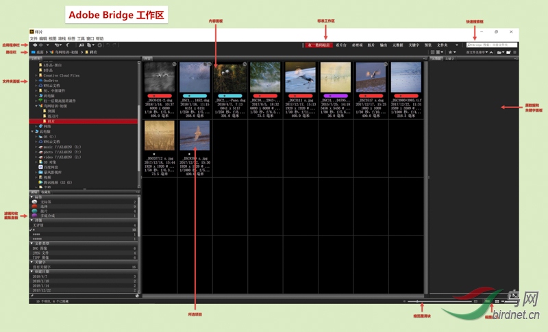 Br����2 s.jpg