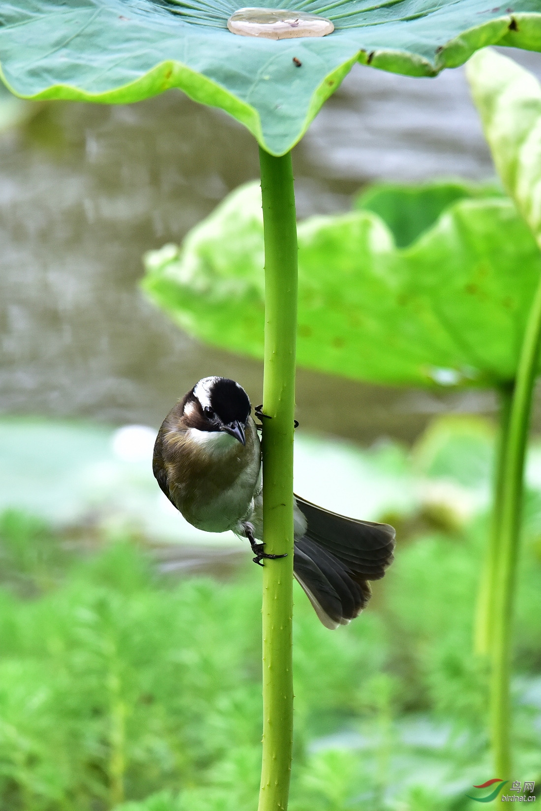 DSC_8863.JPG