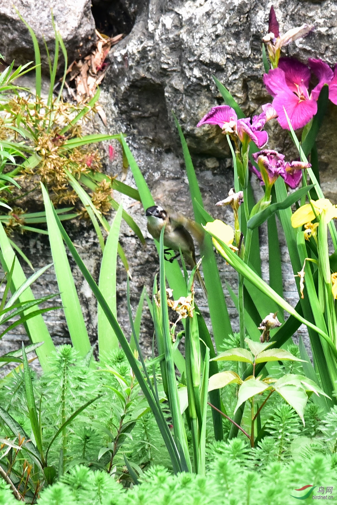 DSC_8858.JPG