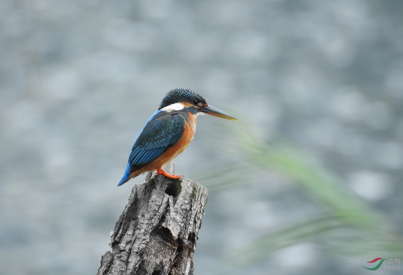 15�׽��ø߶�