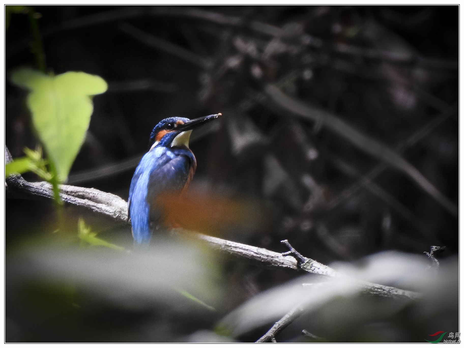 Լ30��